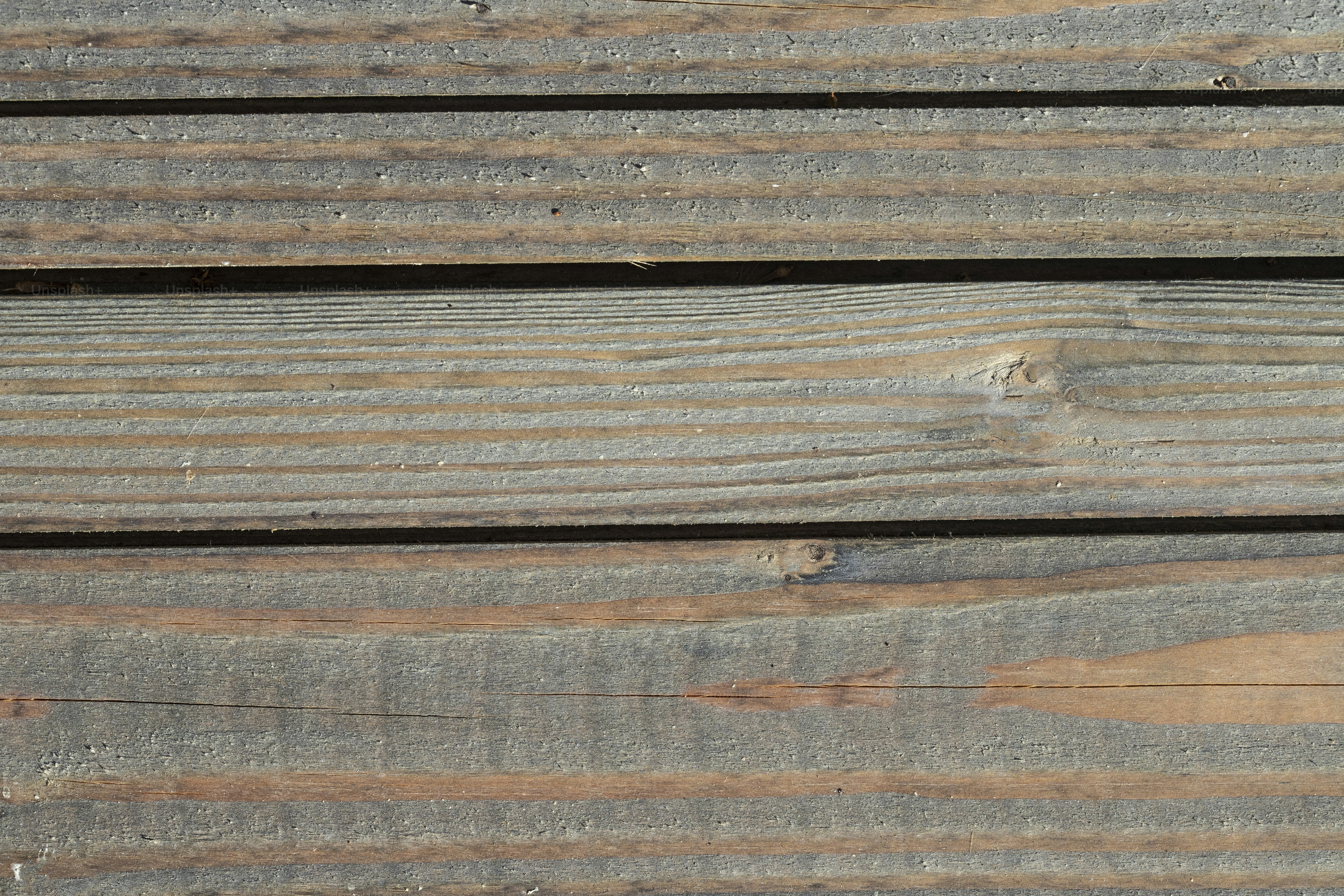 Ein Vogel sitzt auf einer Holzbank