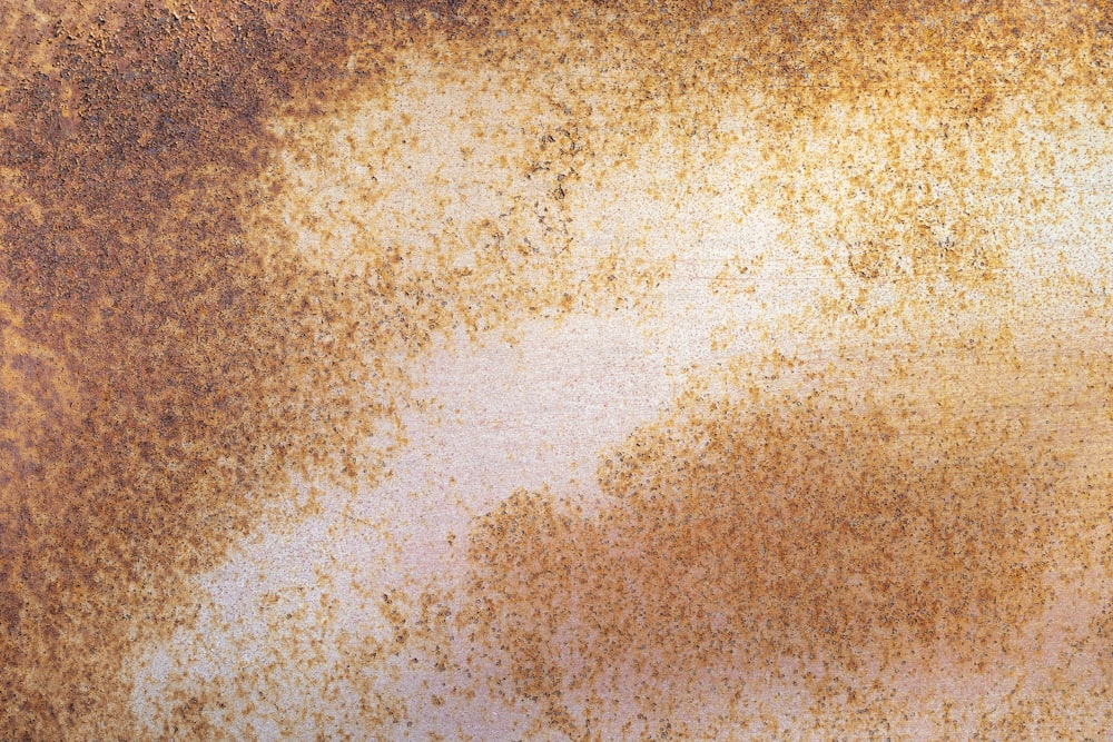 une surface métallique rouillée avec un fond brun et blanc