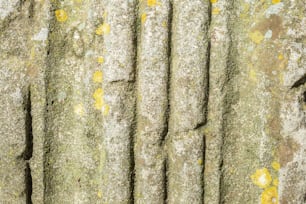 Eine Nahaufnahme einer Steinmauer, auf der Moos wächst
