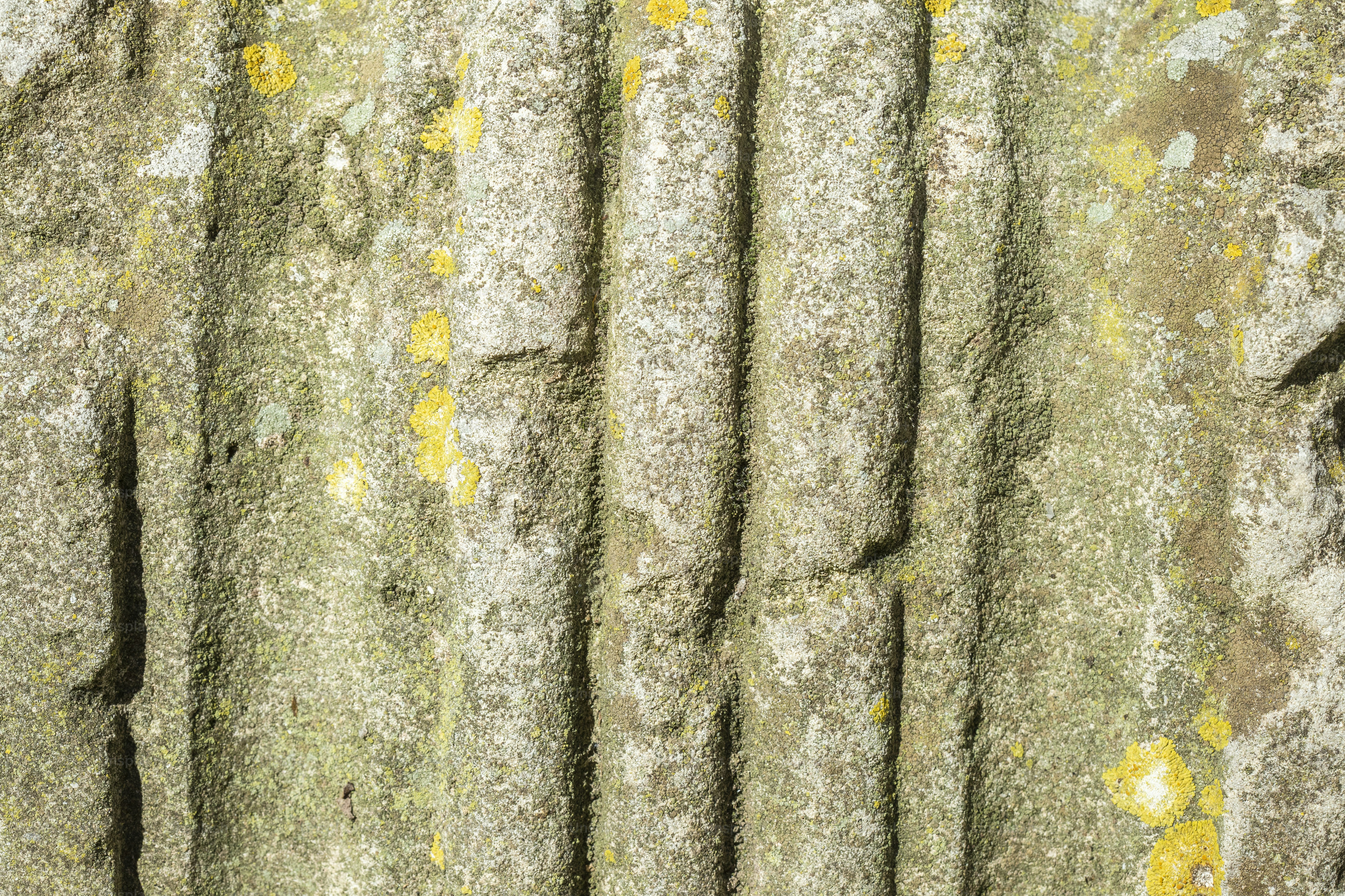 a close up of a stone wall with moss growing on it