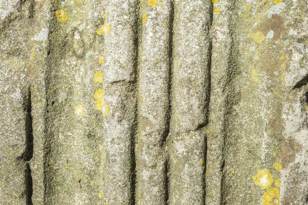 un gros plan d’un mur de pierre avec de la mousse qui pousse dessus