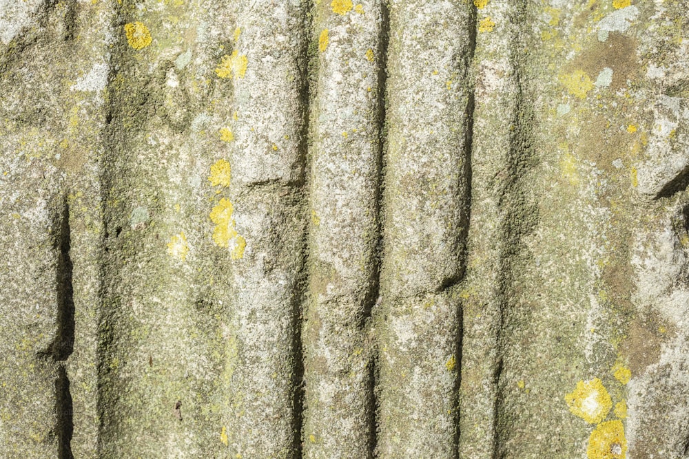 a close up of a stone wall with moss growing on it