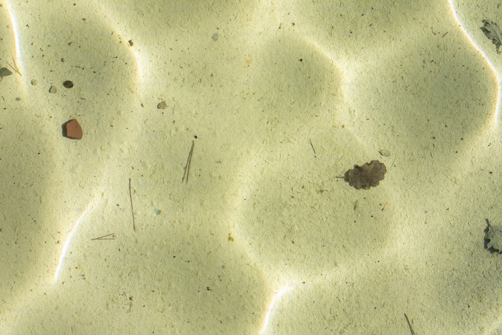 a close up of sand and water with small rocks