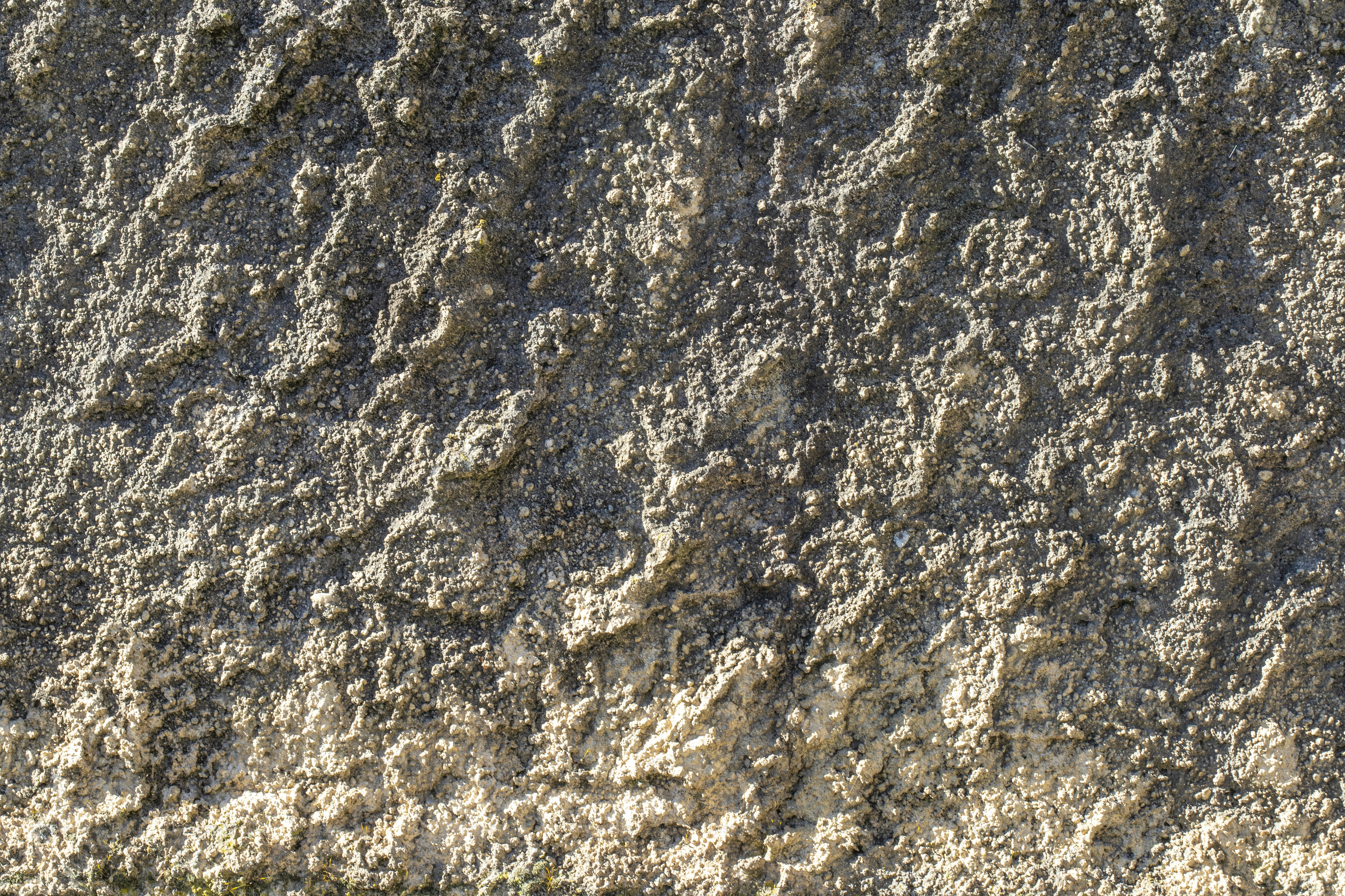 um pássaro em pé no topo de uma praia de areia