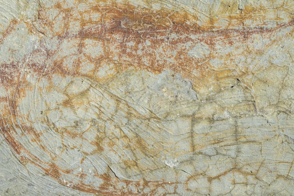 um close up de uma parede de rocha com uma pintura sobre ele
