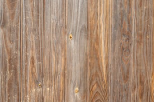 un gros plan d’un mur en bois avec des clous dessus