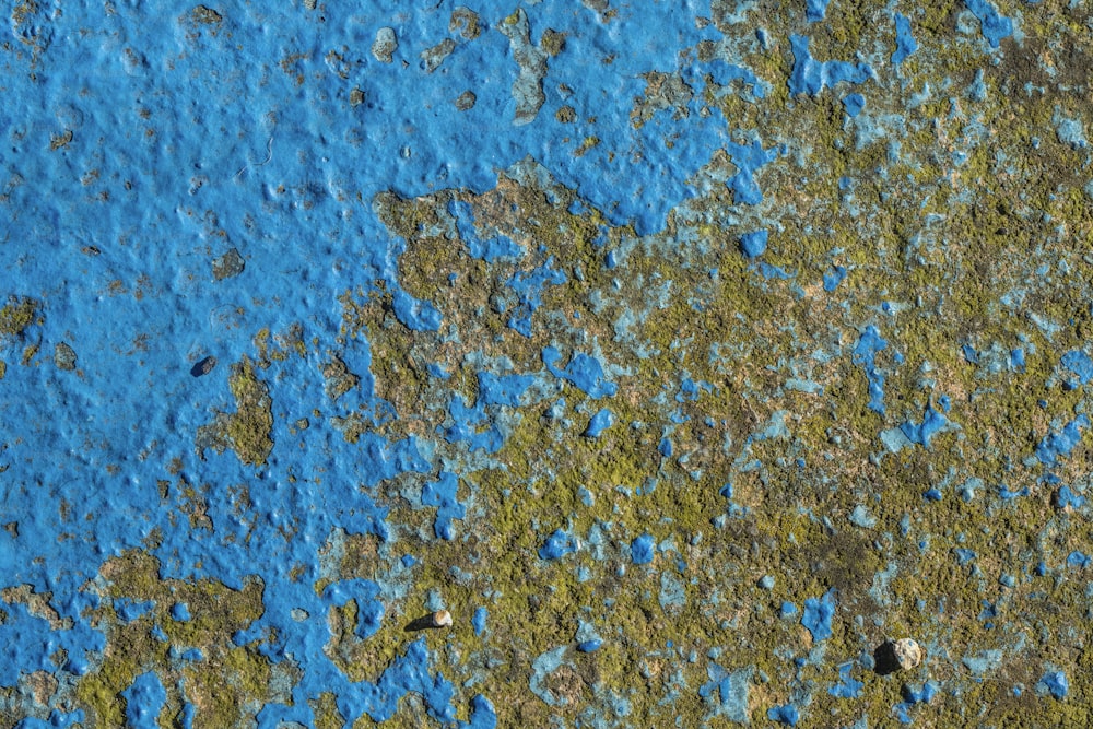 바위와 풀이 있는 파란색과 ��녹색 표면
