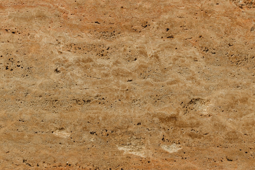 흙이 묻은 돌 표면의 클로즈업