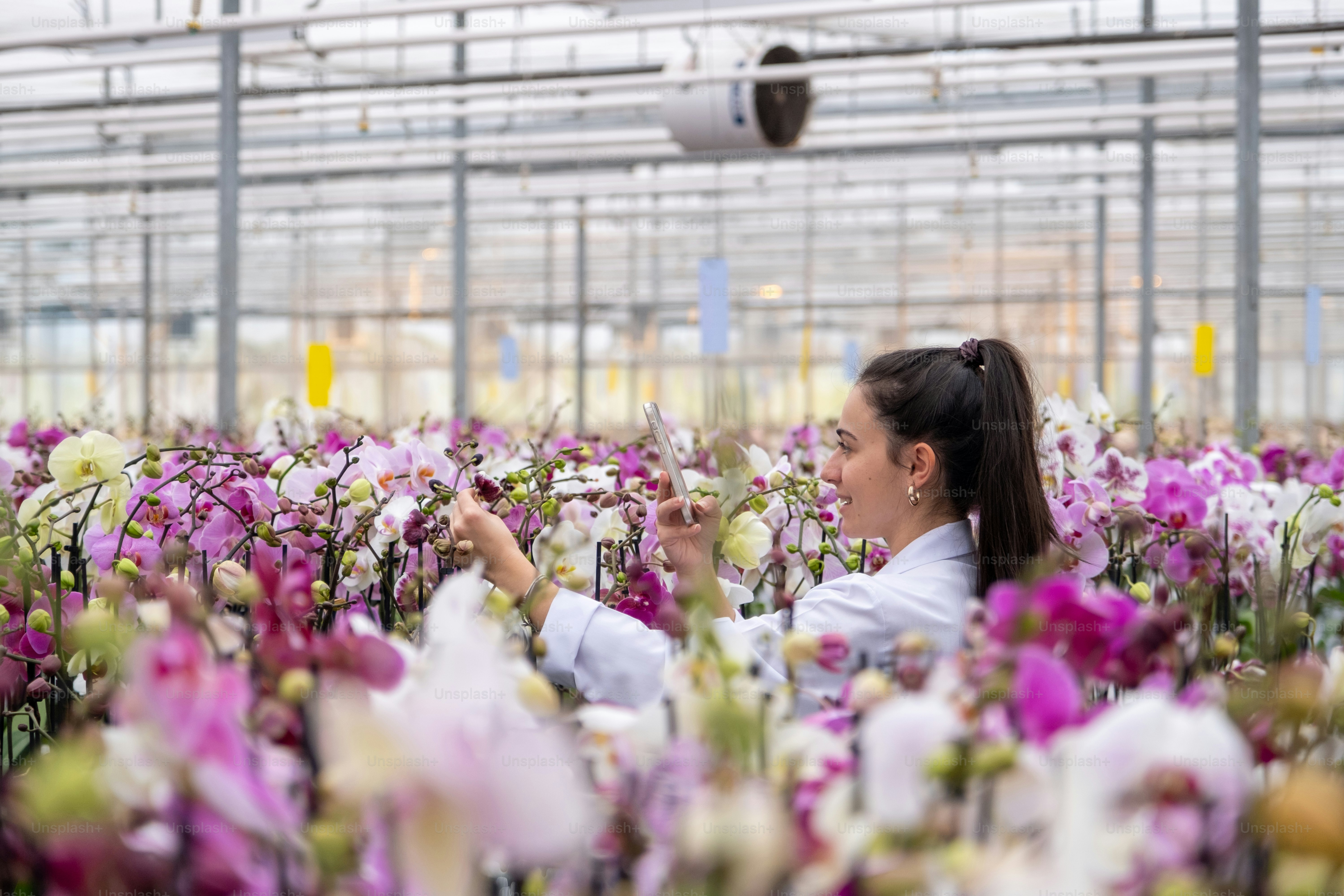 A woman in a greenhouse holding a flower photo – Flowers Image on Unsplash
