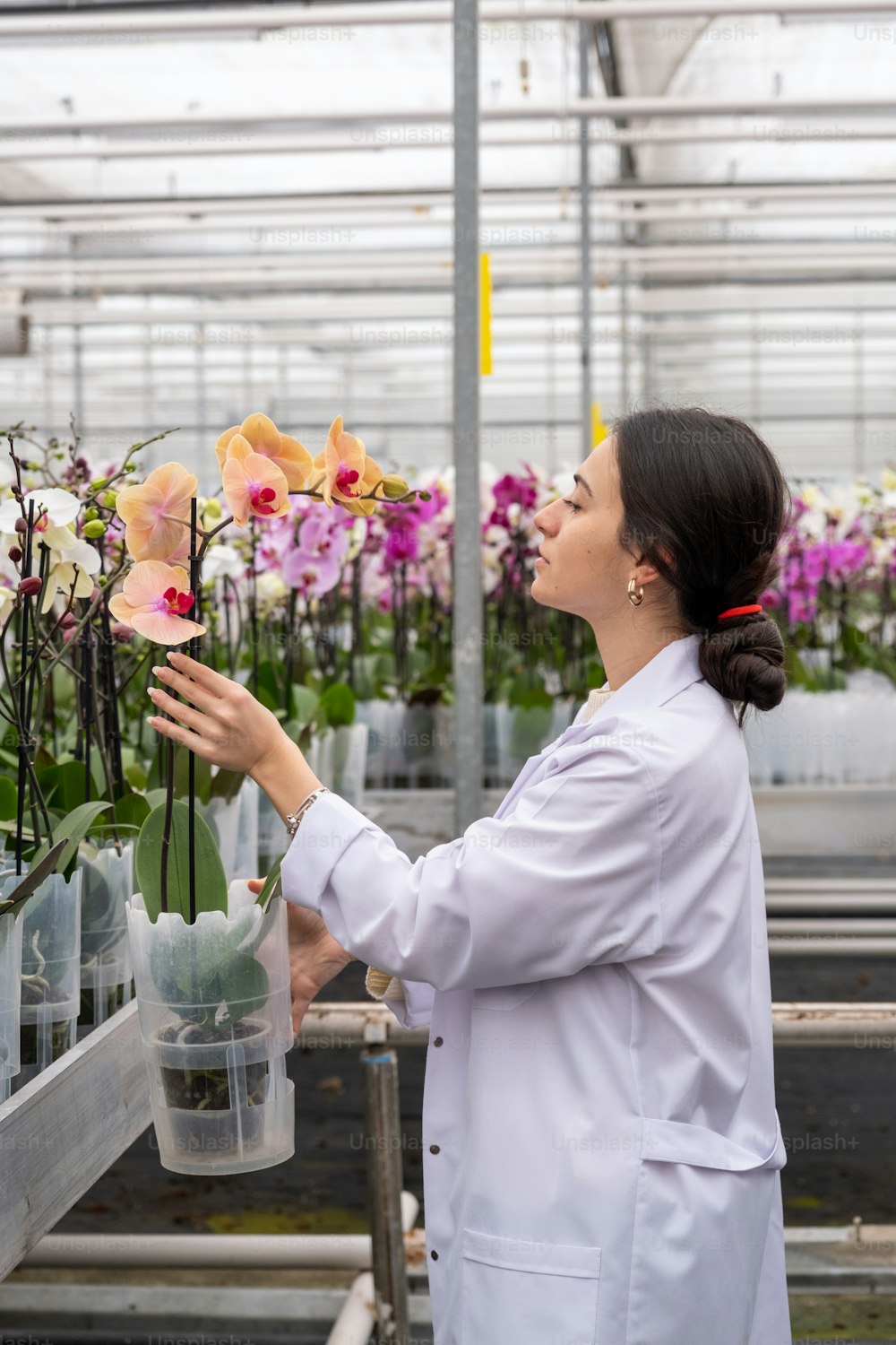 a woman in a white lab coat is looking at flowers in a greenhouse
