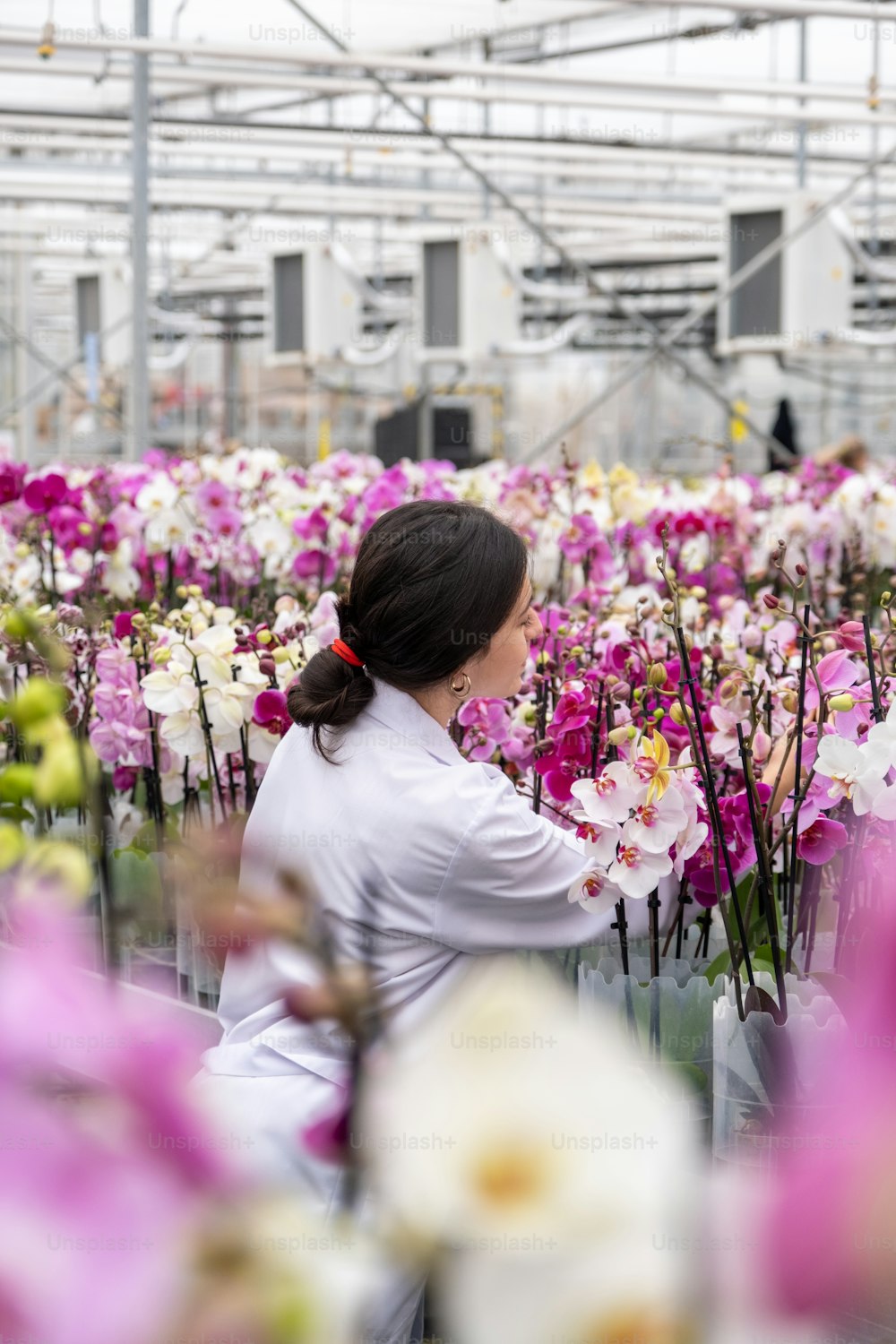 Una mujer sentada en un campo de flores