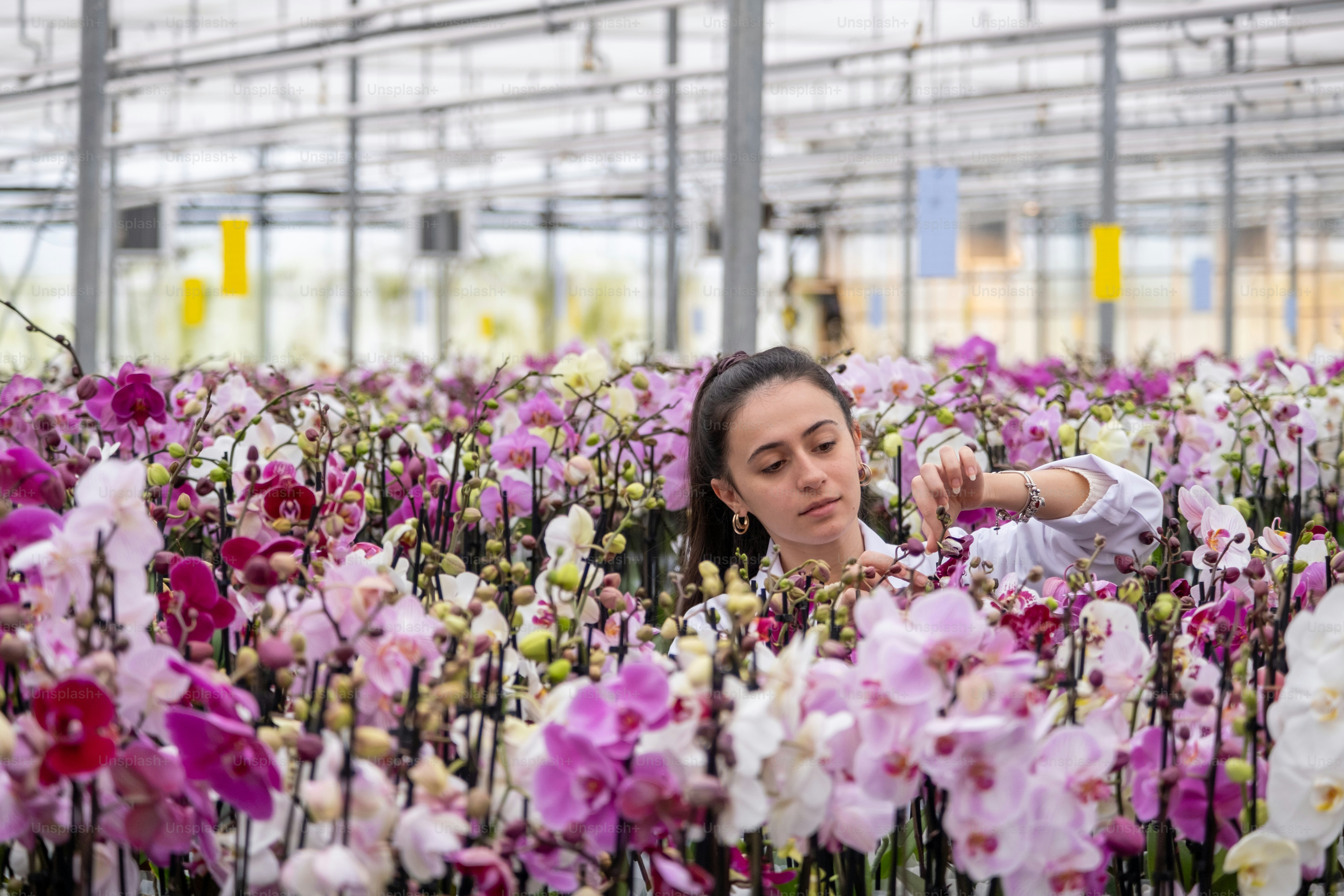 Eine Frau in einem Gewächshaus betrachtet lila und weiße Blumen