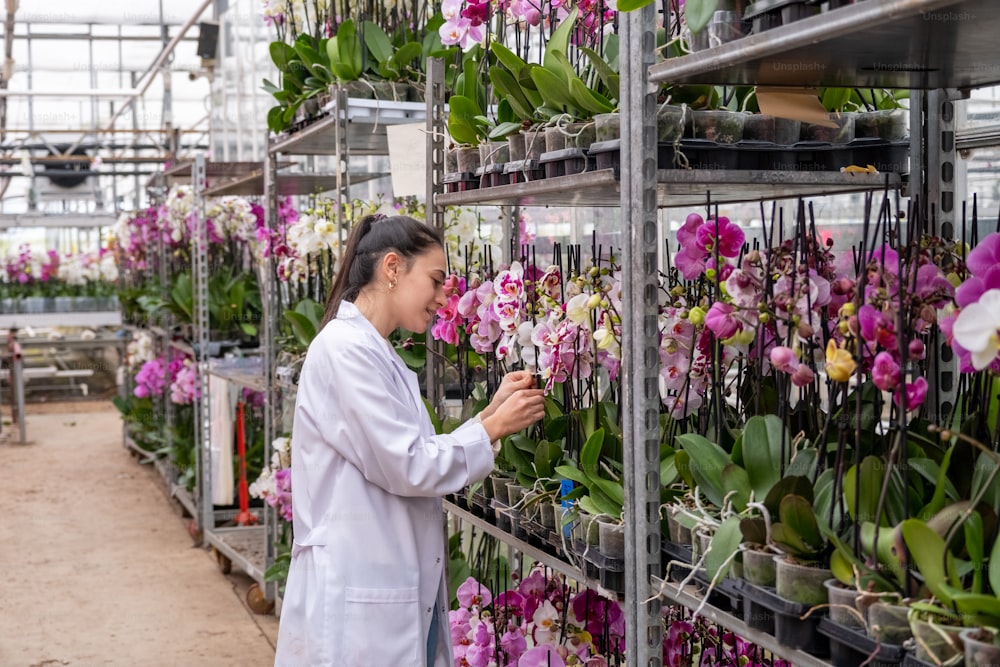 a woman in a greenhouse looking at orchids