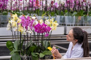 a woman sitting next to a bunch of purple and yellow flowers