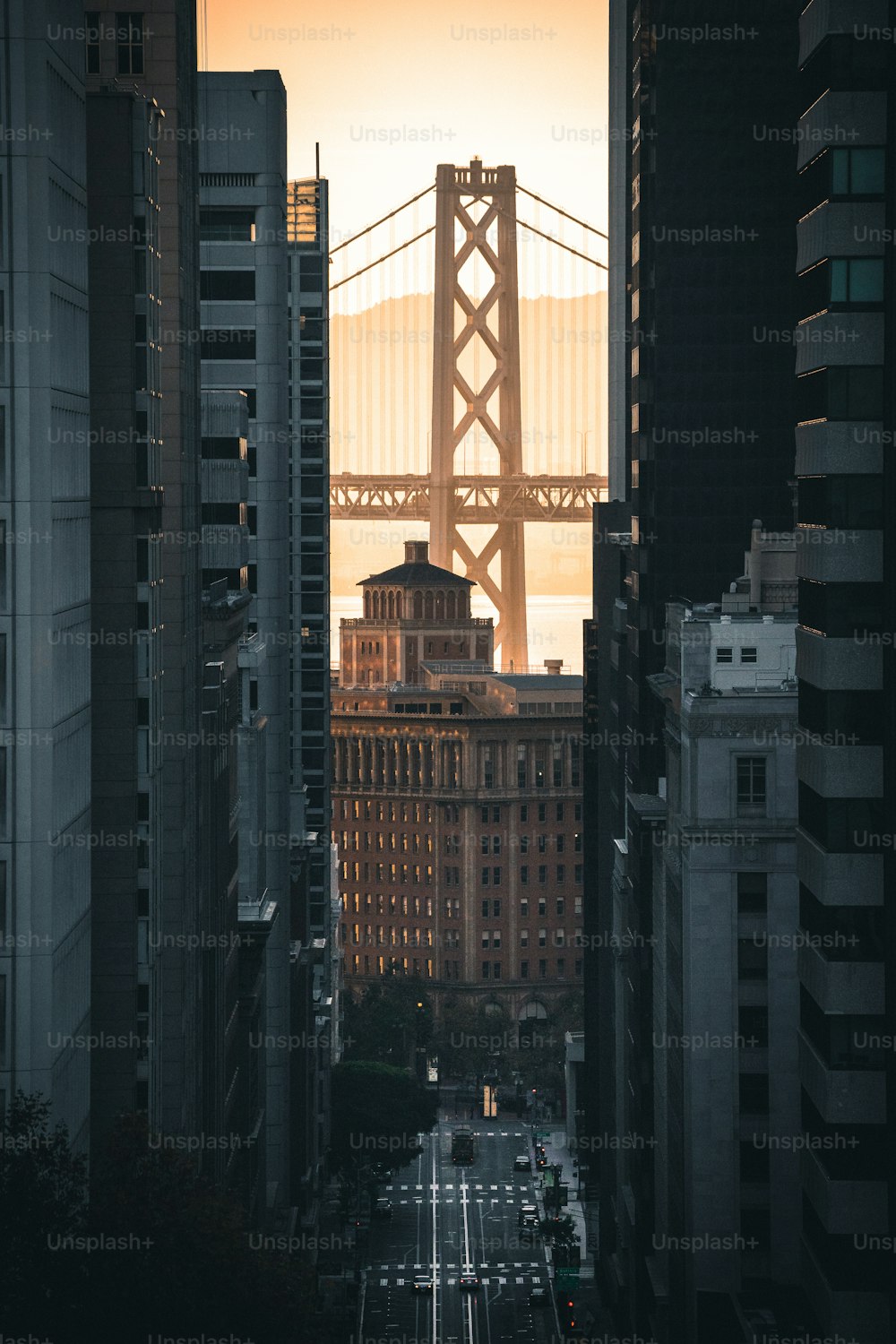 Blick auf eine Stadt mit einer Brücke im Hintergrund
