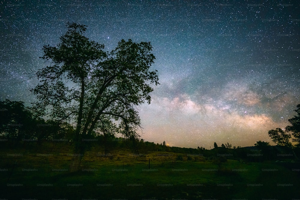 the night sky is filled with stars and trees