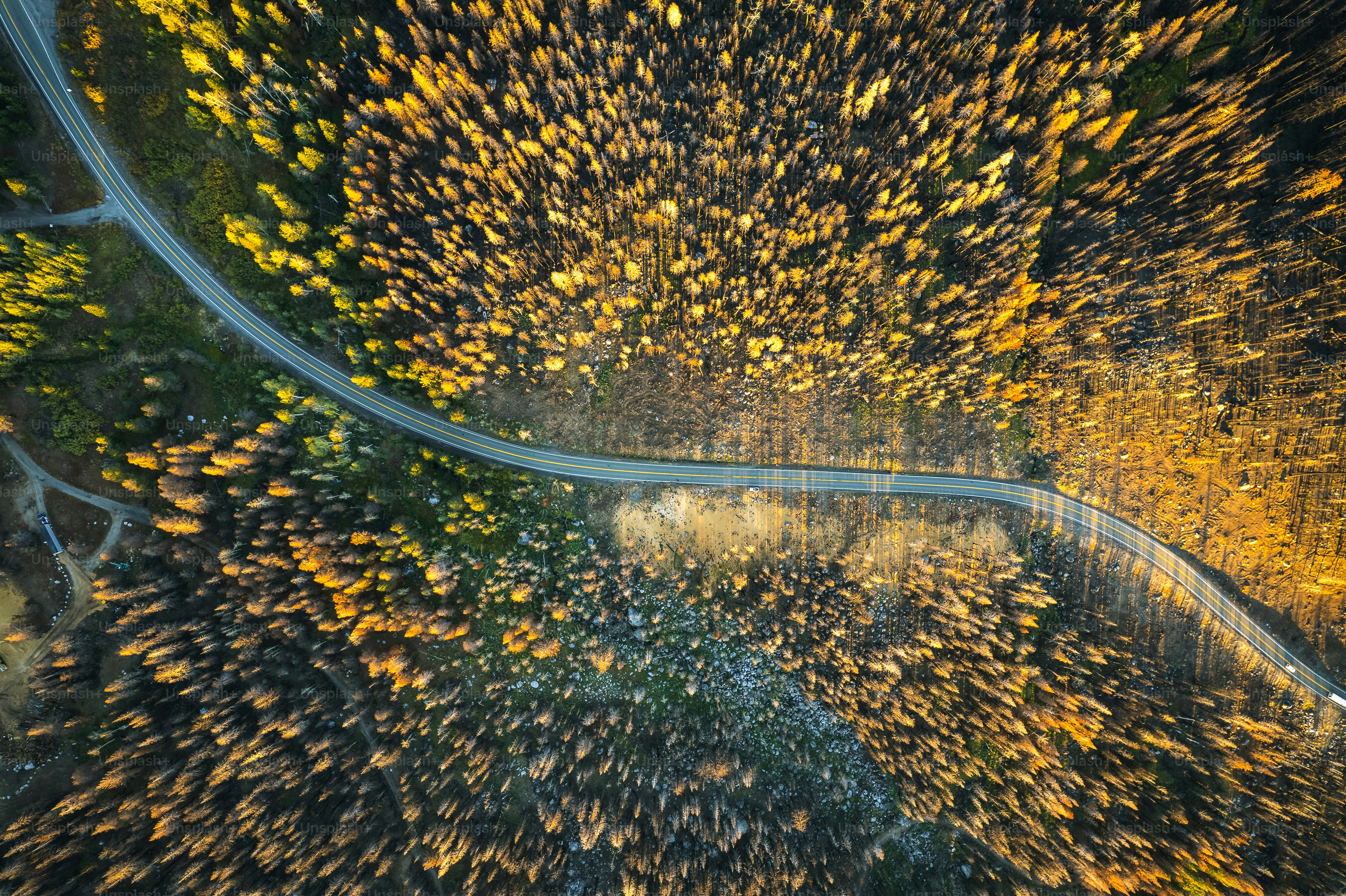 an aerial view of a winding road surrounded by trees