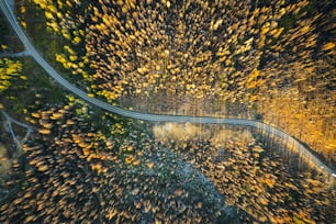 an aerial view of a winding road surrounded by trees