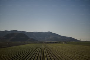 un champ agricole avec des montagnes en arrière-plan