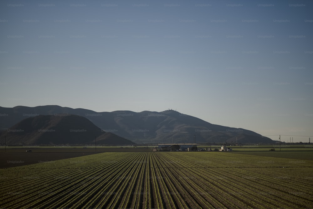a farm field with mountains in the background