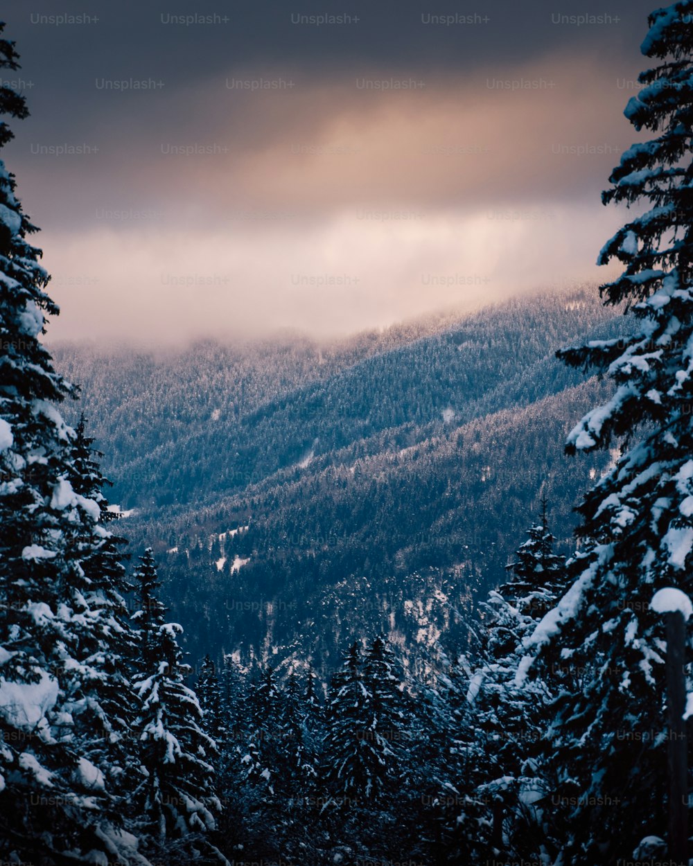 Blick auf einen verschneiten Berg mit Bäumen im Vordergrund