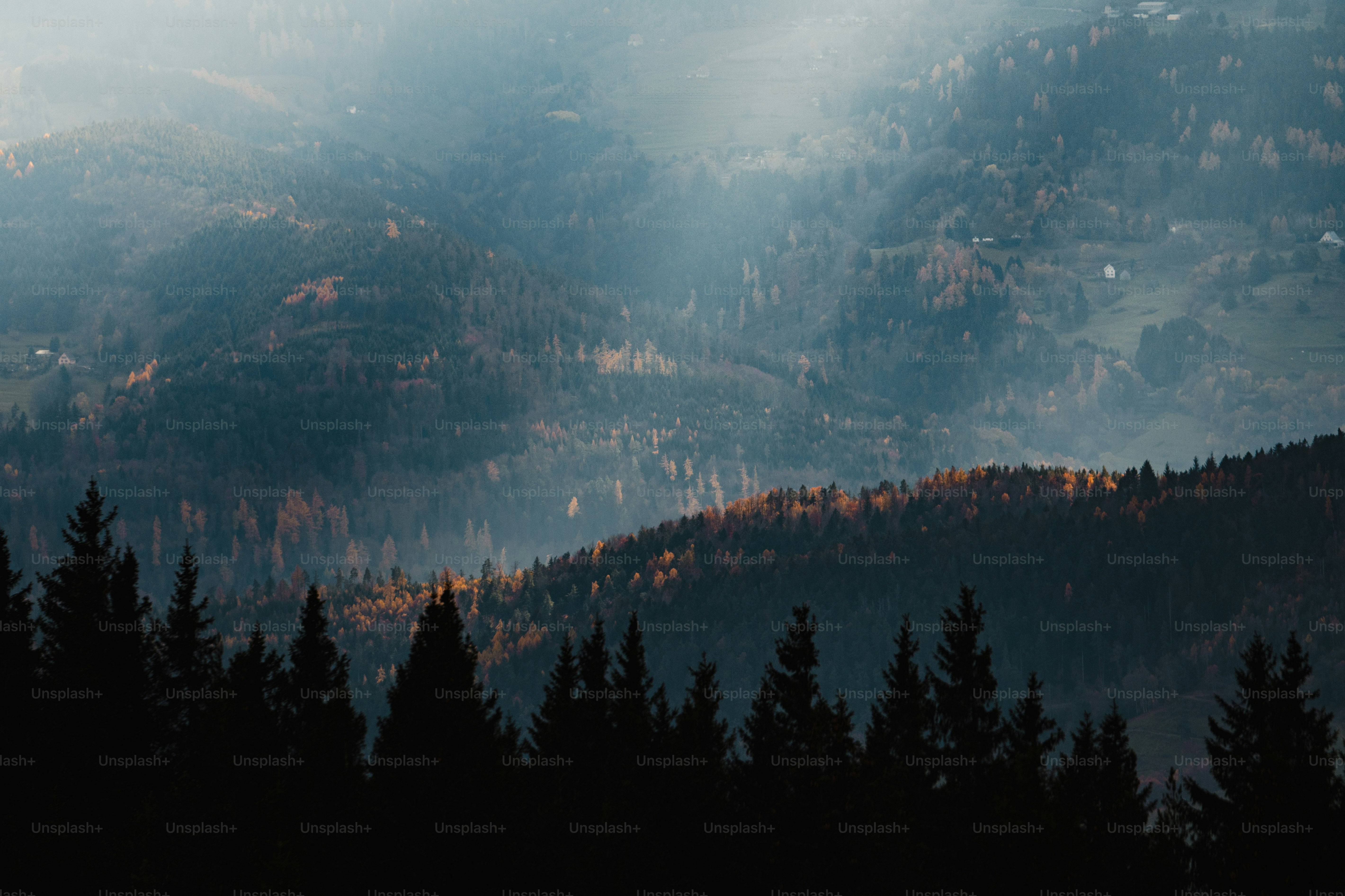 a view of a mountain range with trees in the foreground