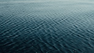 a large body of water with ripples in it