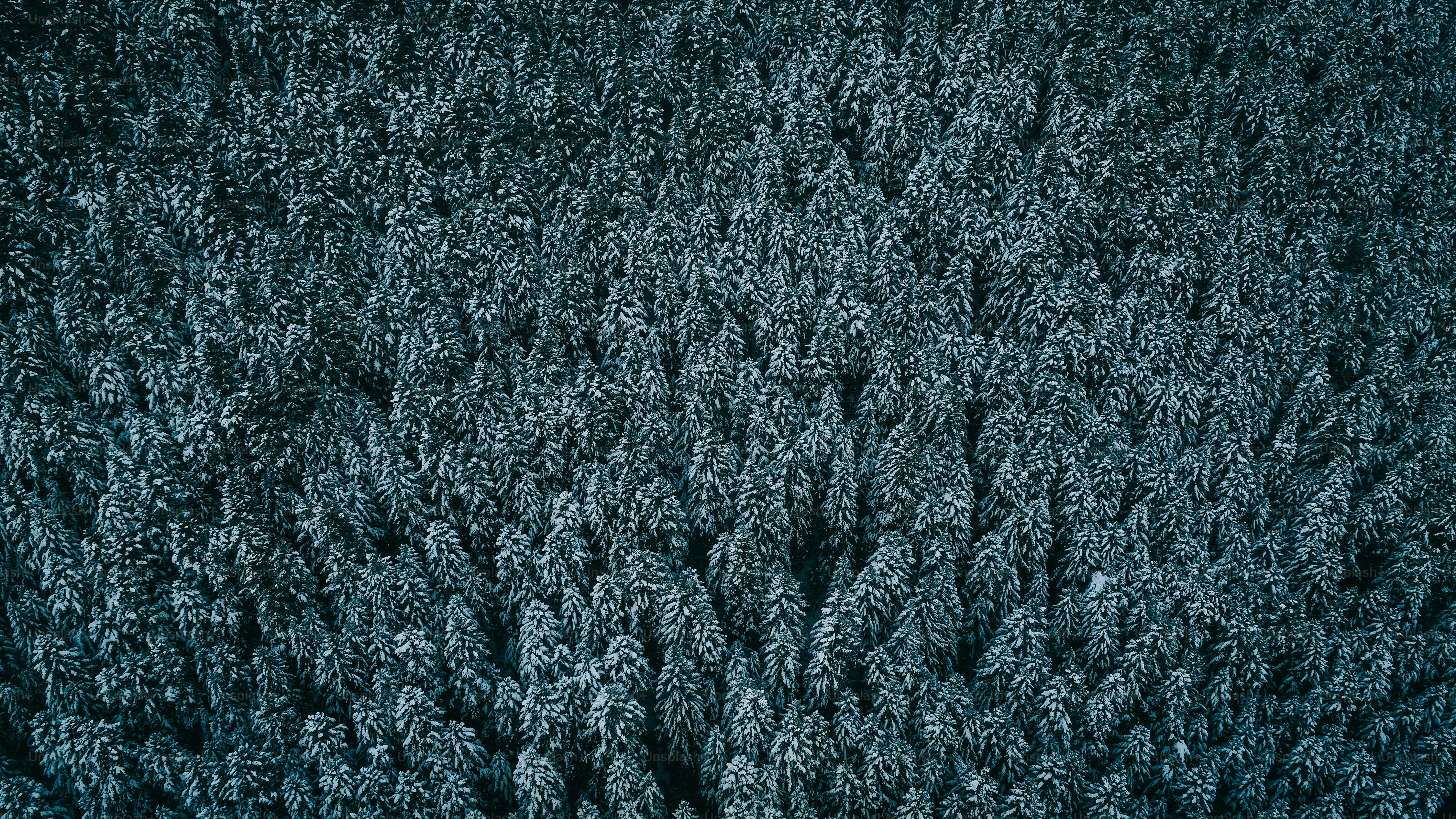an aerial view of a group of trees