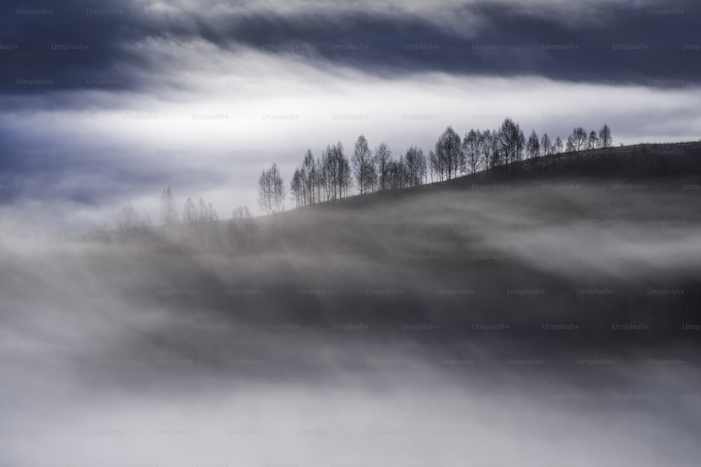a foggy landscape with trees on a hill