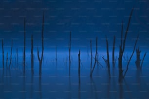 a group of dead trees sitting in the middle of a lake