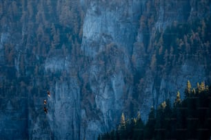 a person on a rock climbing up a mountain