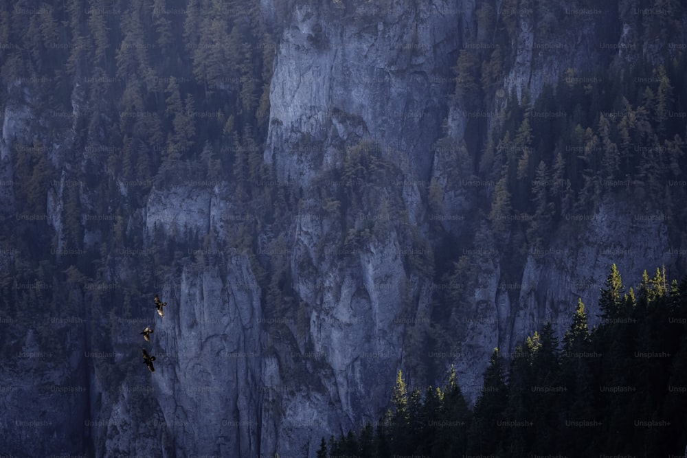 a person on a rock climbing up a mountain