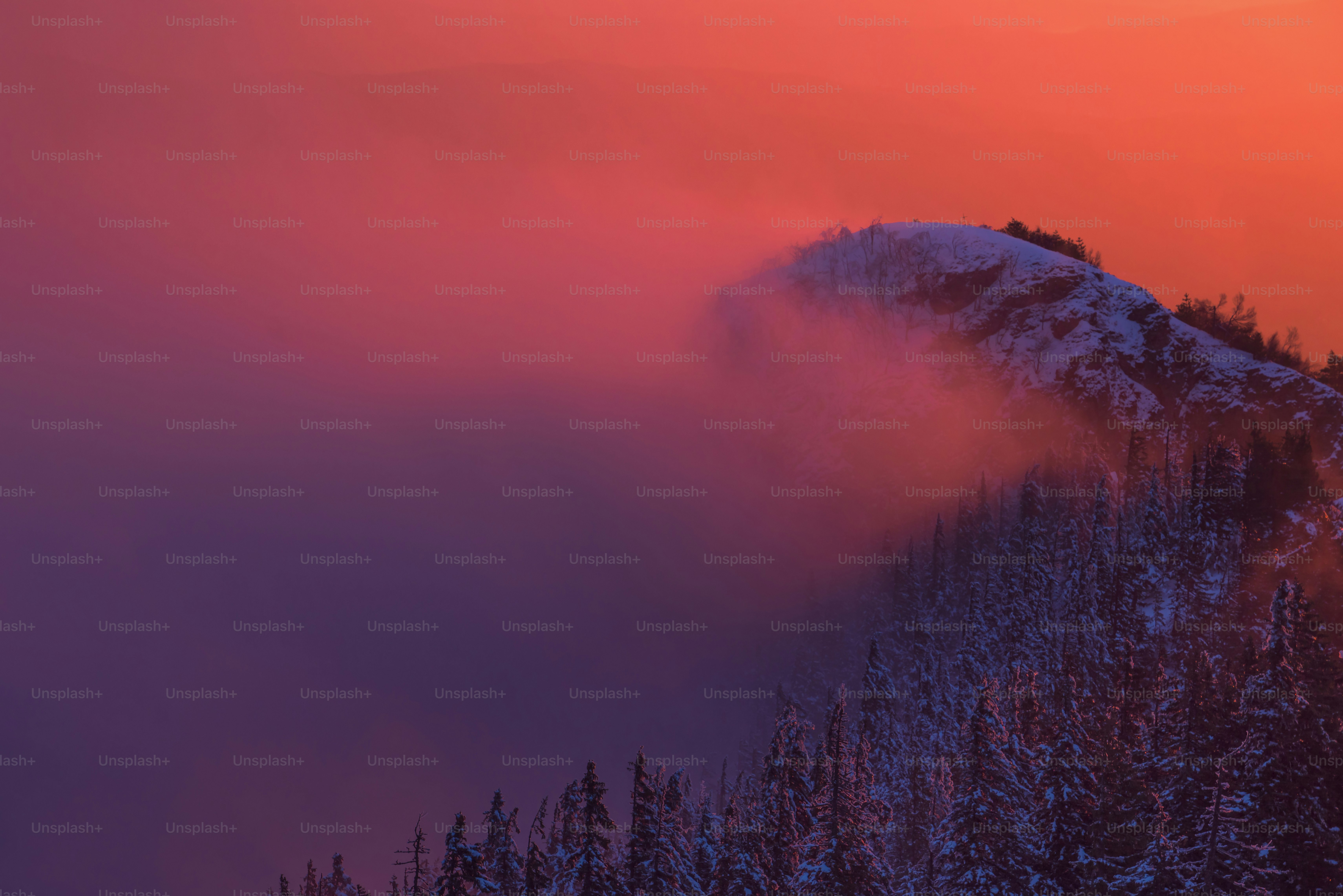 a mountain covered in snow and surrounded by trees