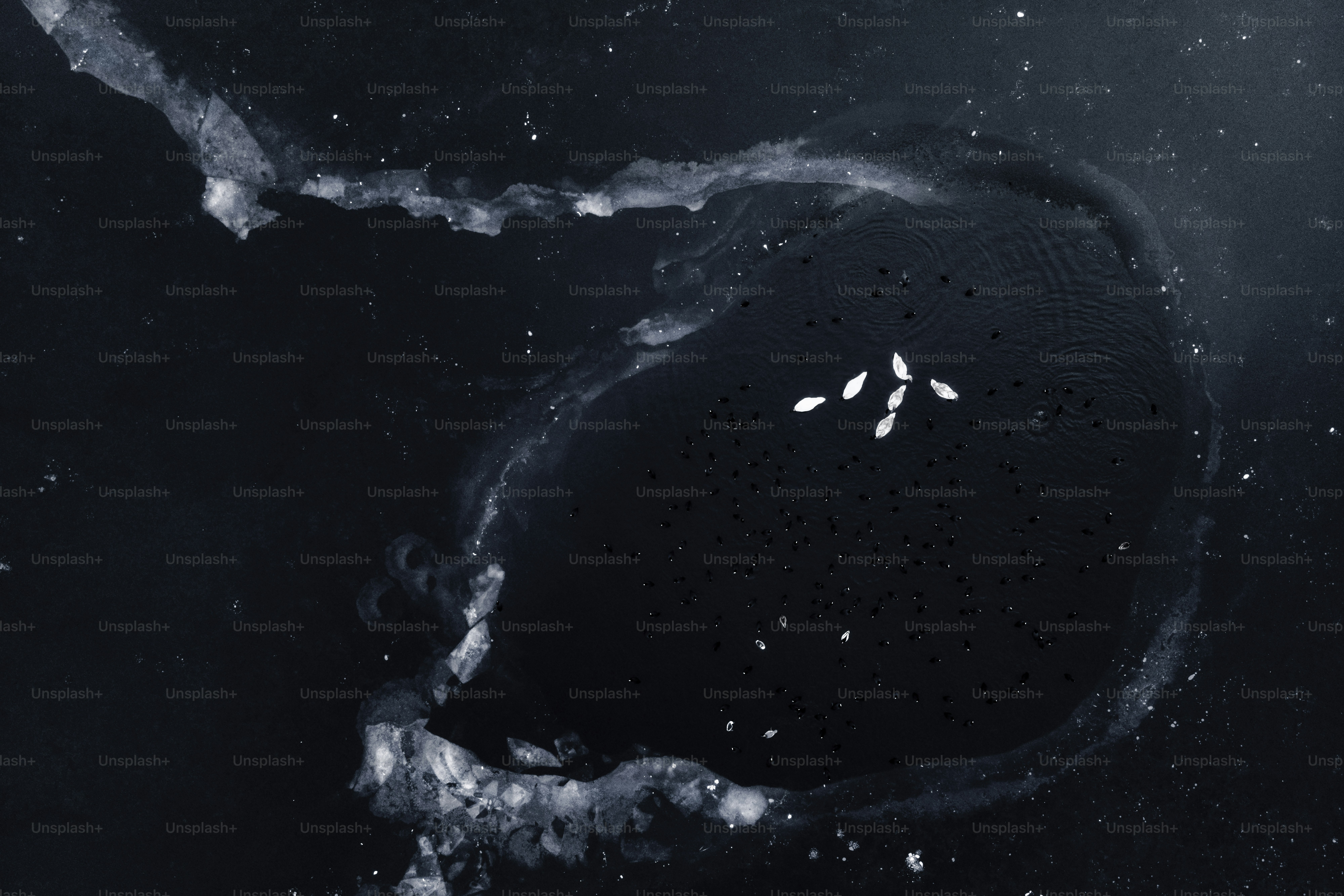 a black and white photo of a space station