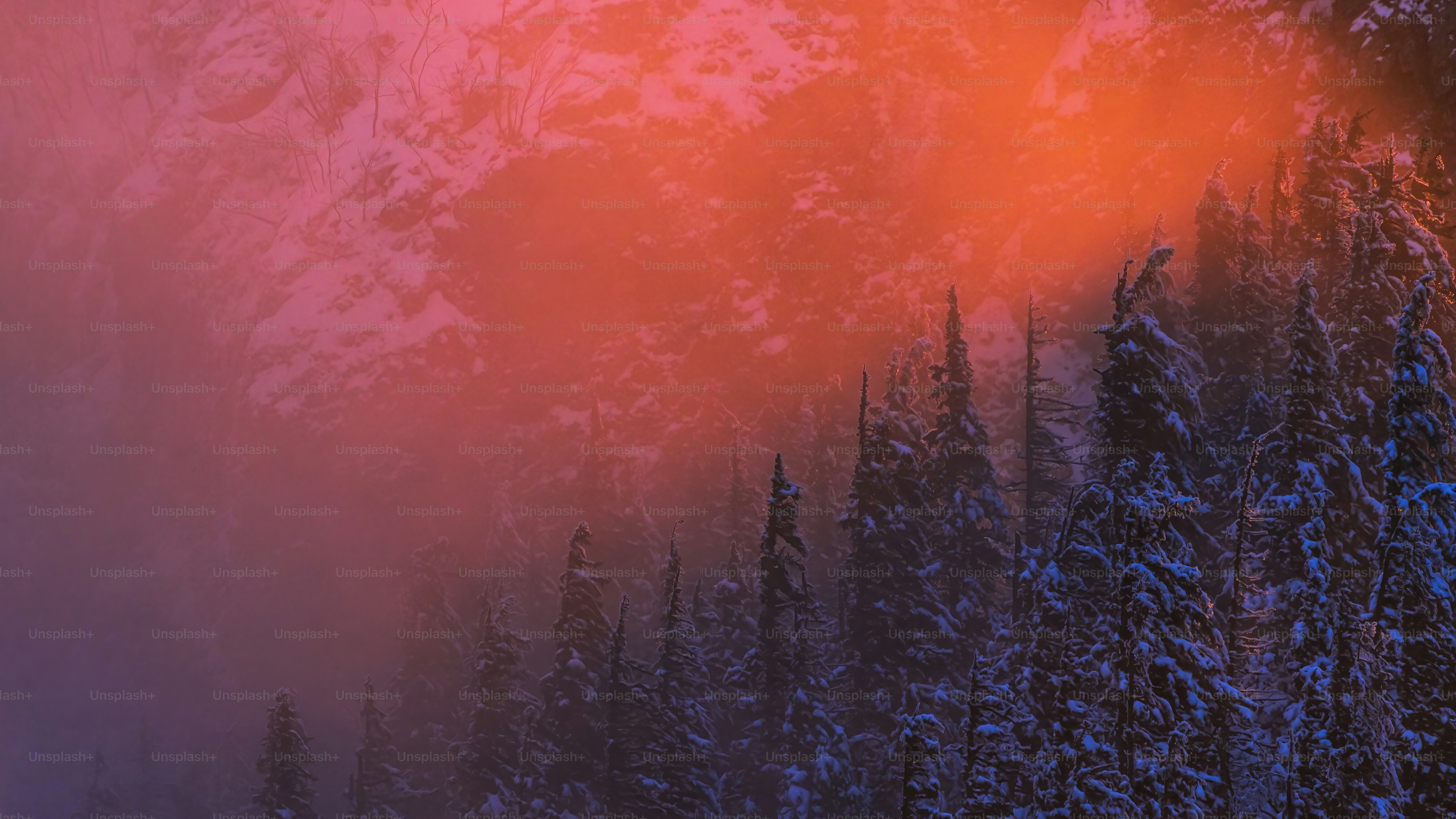 a mountain covered in snow next to a forest