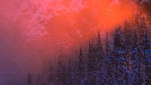 a mountain covered in snow next to a forest