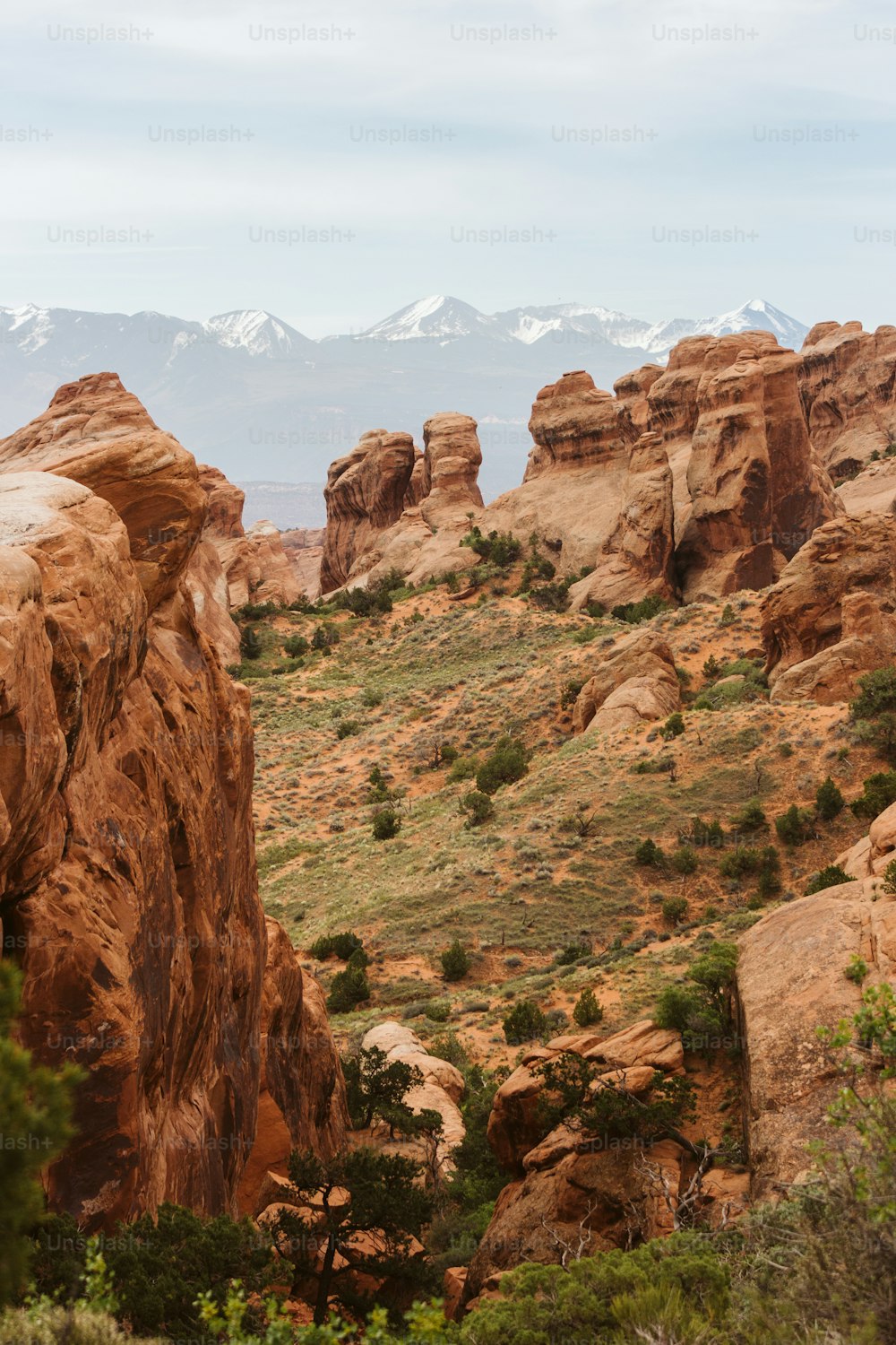 uma vista de uma paisagem rochosa com montanhas ao fundo