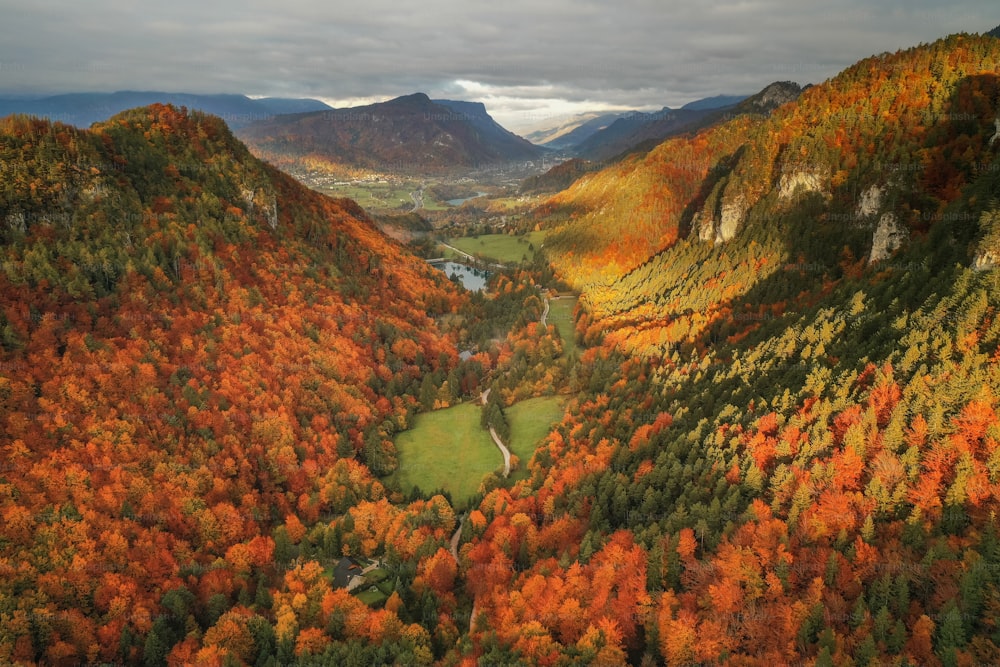 an aerial view of a valley surrounded by trees