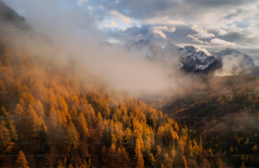 una vista de una cadena montañosa con árboles en primer plano y nubes en el