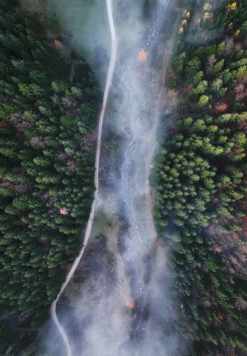 an aerial view of a road in the middle of a forest