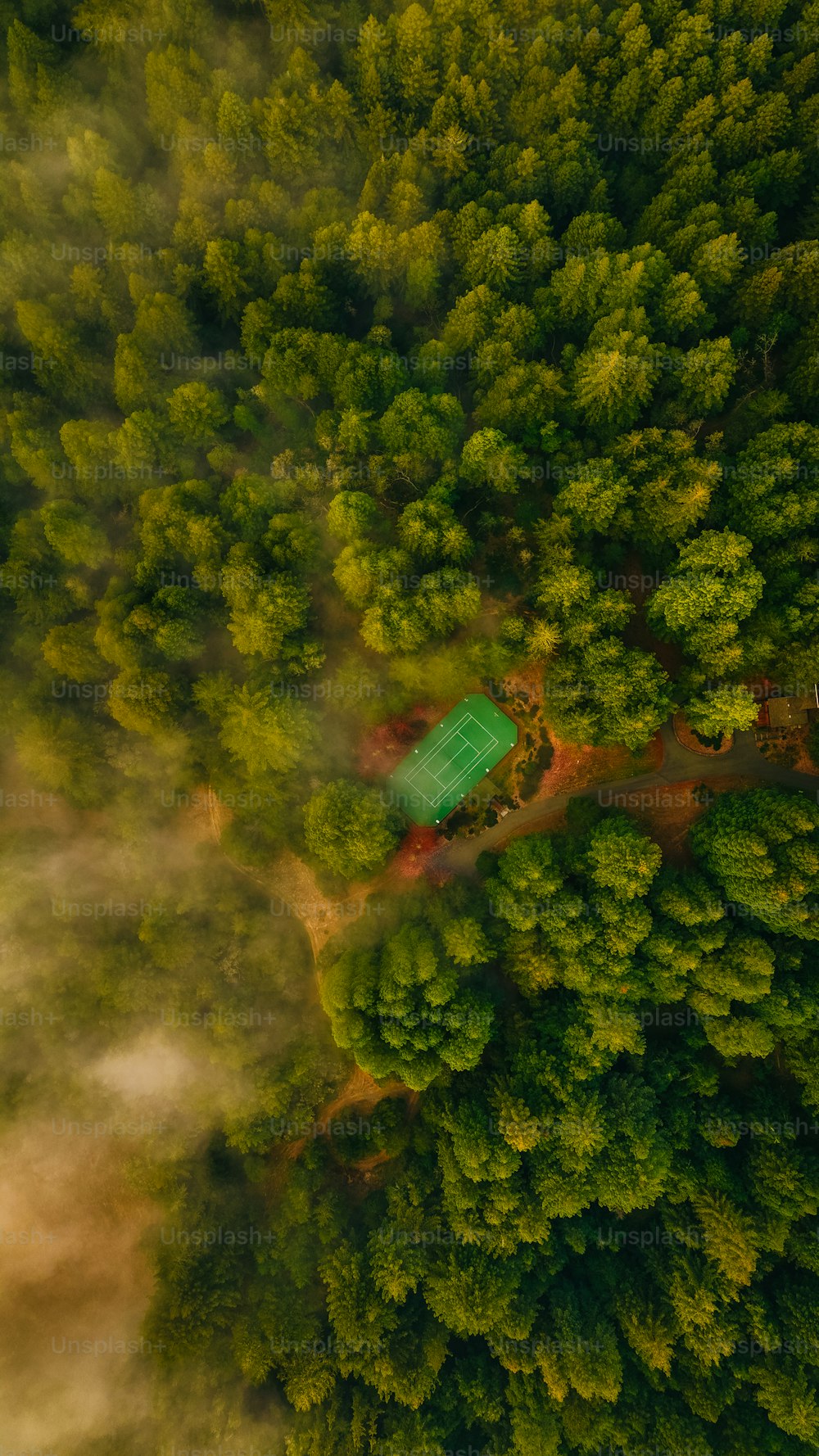 Una serra nel mezzo di una foresta