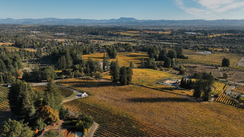 una veduta aerea di un terreno agricolo con alberi e montagne sullo sfondo