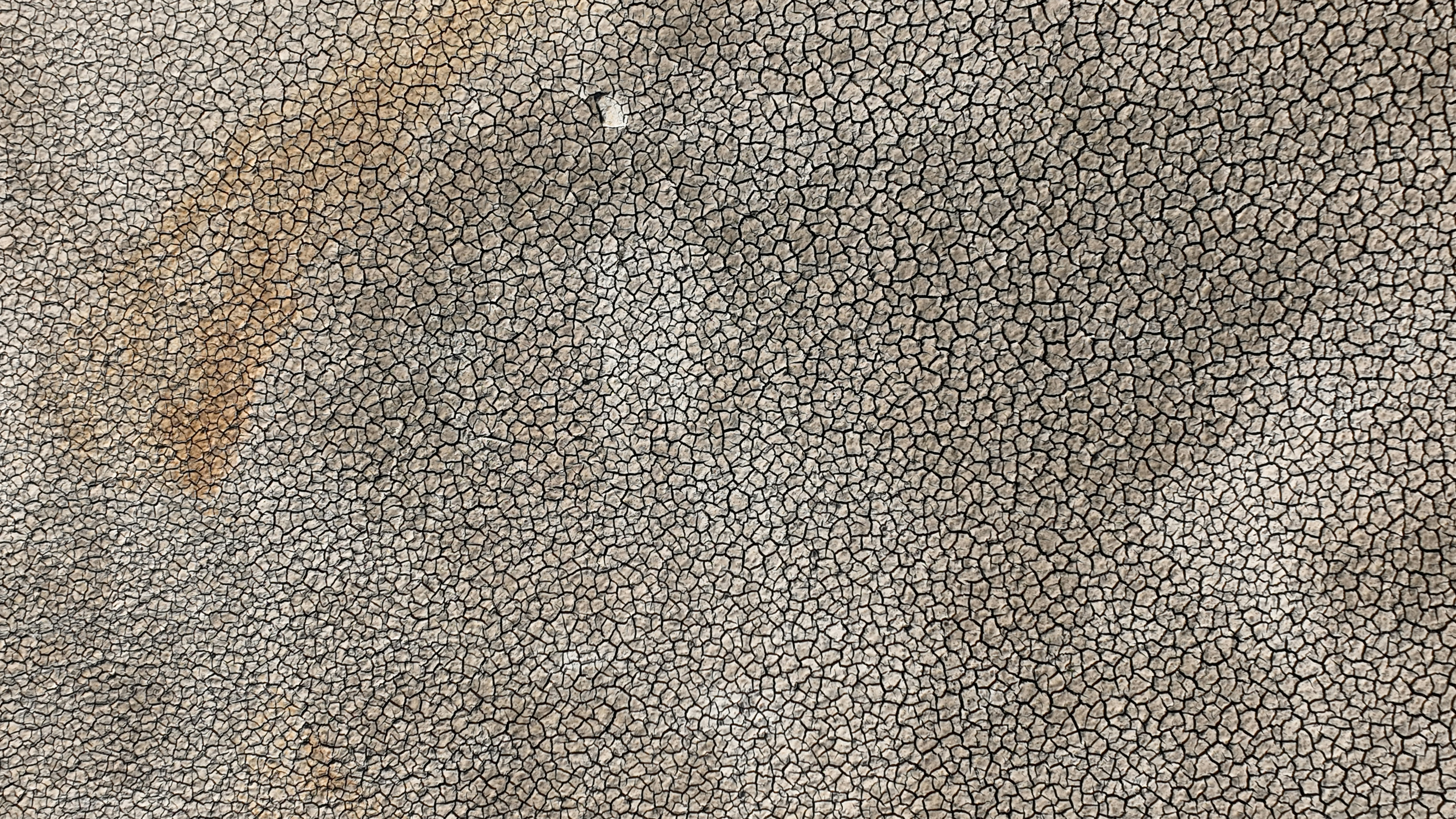 a close up of a brown and white textured surface