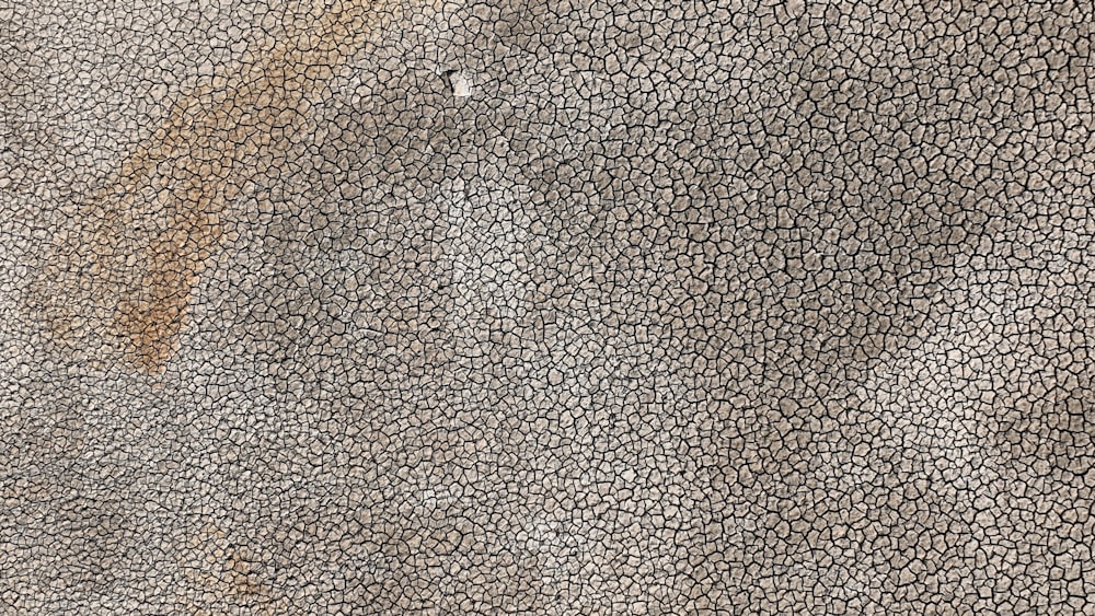 um close up de uma superfície texturizada marrom e branca