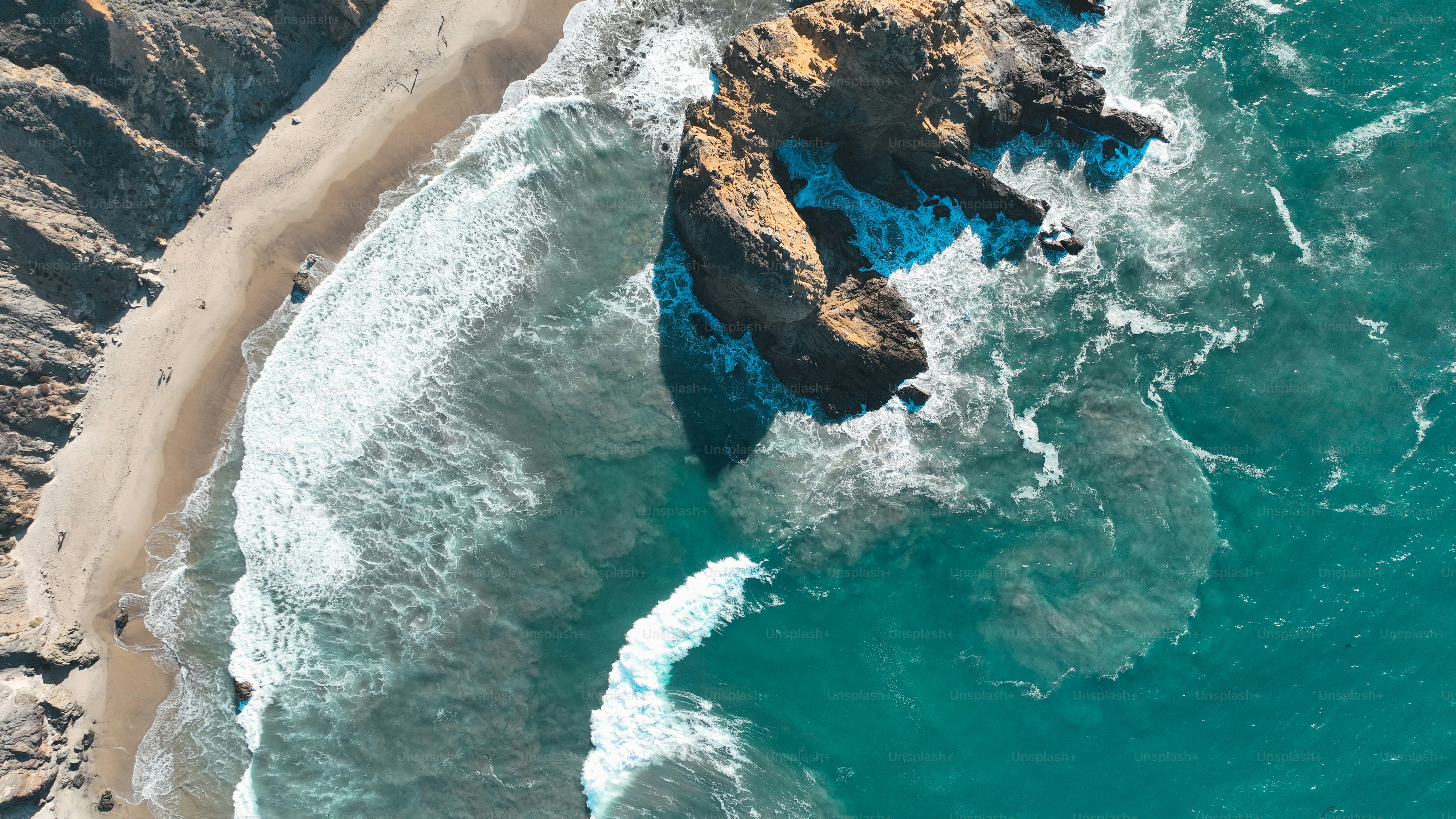 Get Up Close and Personal with Whales in Monterey: A Must-Do Tour