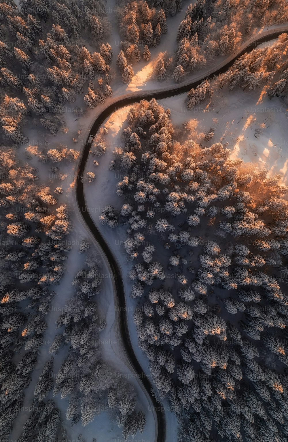 Eine kurvenreiche Straße inmitten eines verschneiten Waldes