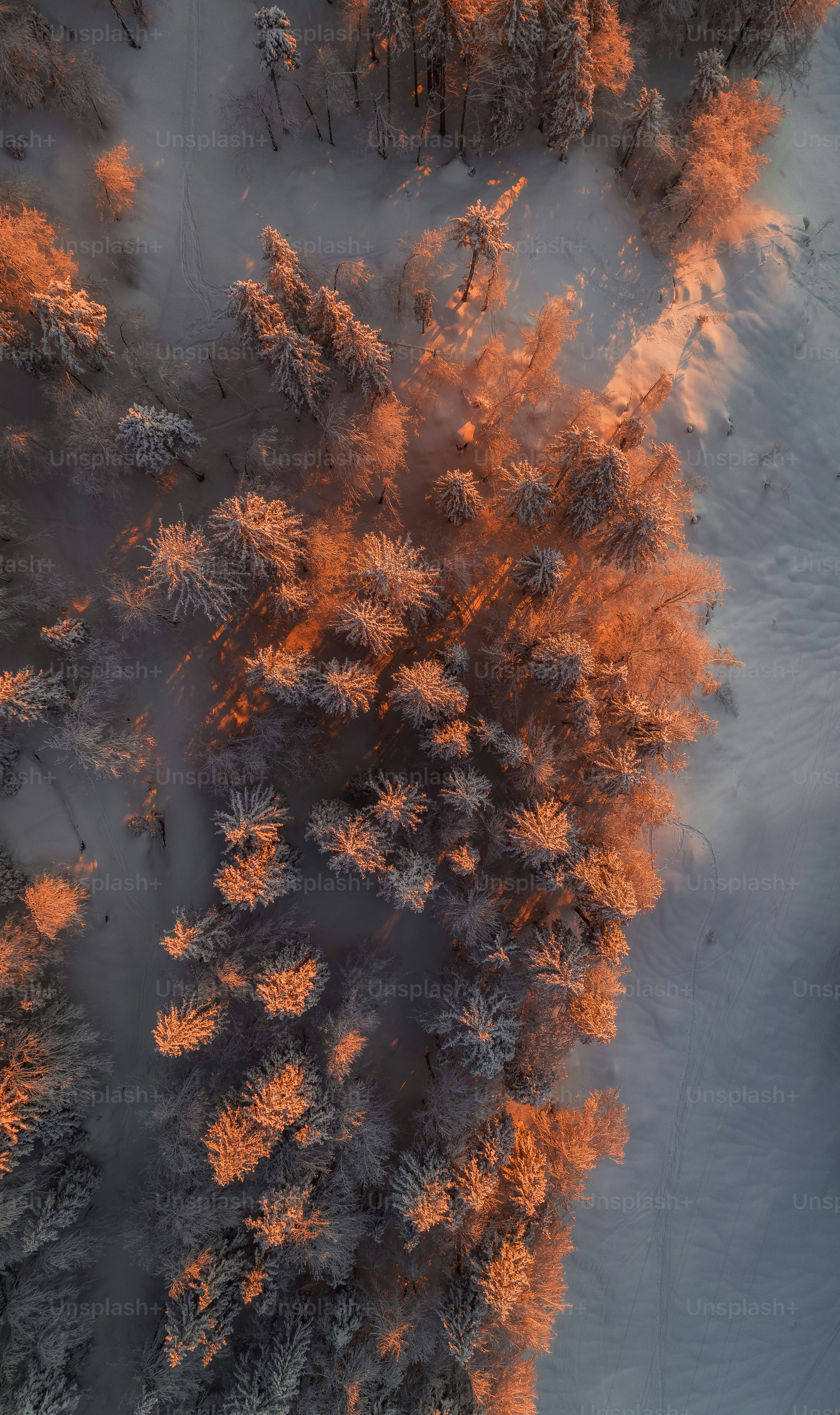 an aerial view of a snow covered forest