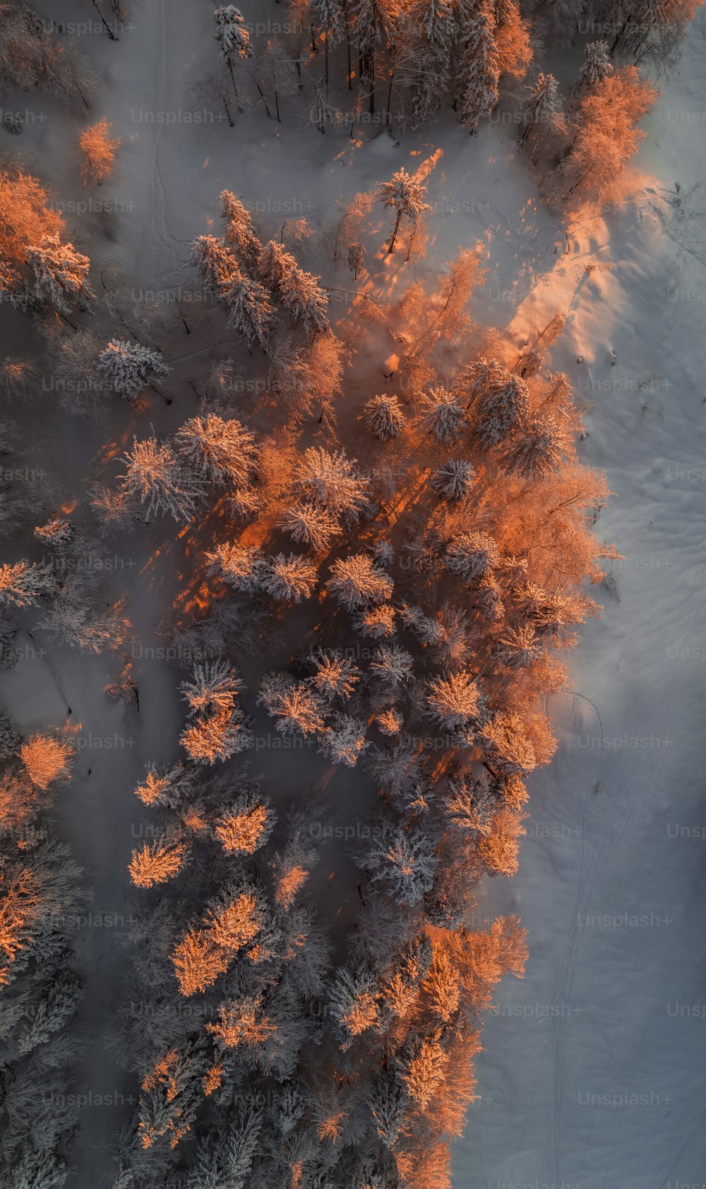 an aerial view of a snow covered forest