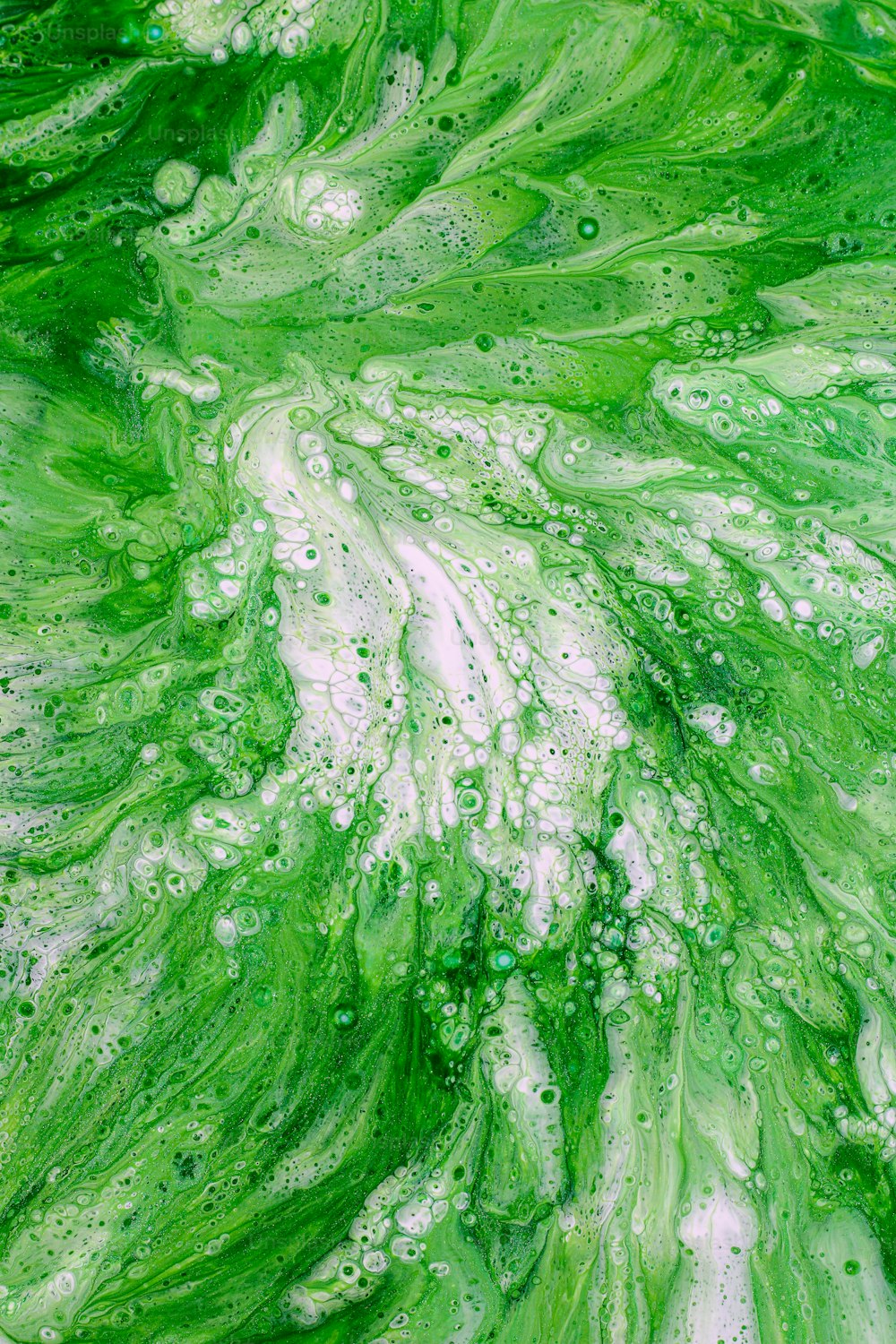 um close up de uma substância verde e branca
