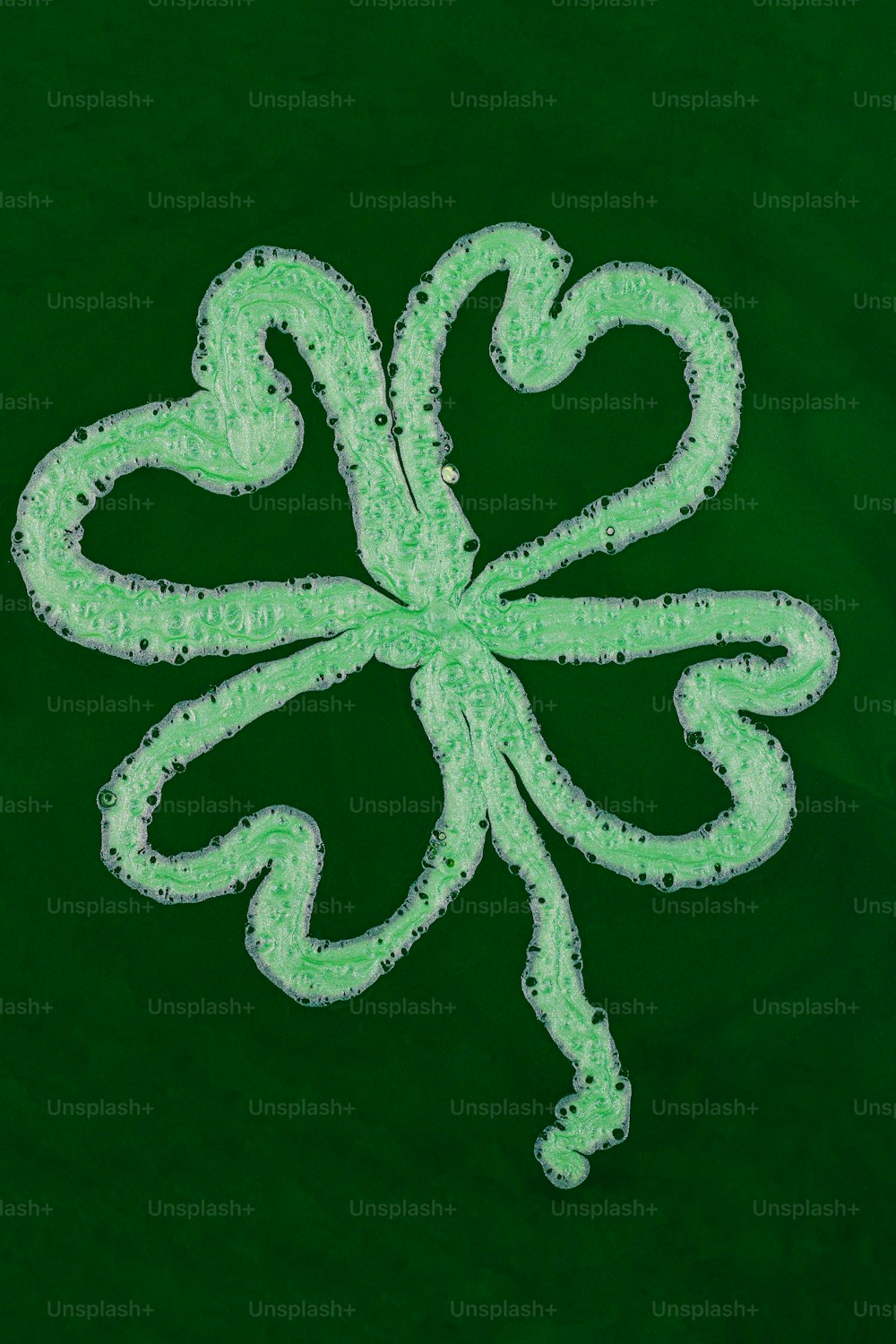 a drawing of a four leaf clover on a green background